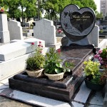 23772 - Indian aurora