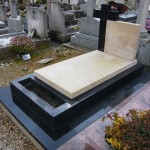 24587 - Bourgogne marbrée et Noir fin