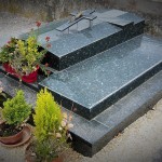 25396 - Labrador vert