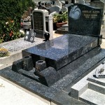 25551 - Labrador bleu HQ