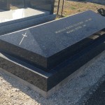 26459 - Labrador bleu HQ