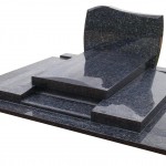 D-26039 labrador bleu HQ