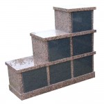 MEMORIA-321 - Rose de la Clarté et Noir d'Afrique foncé