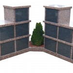 MEMORIA-321-JARDIN - Rose de la Clarté et Noir d'Afrique foncé