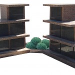 MEMORIA-321T-JARDIN - Rose de la Clarté et Noir d'Afrique foncé