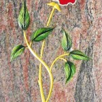 ROSE-101PV - détail