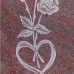 ROSE RUBAN 1 - détail