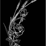 ROSES-EPIS-1 - détail