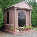 chap AV20083 - Rose de la Clarté